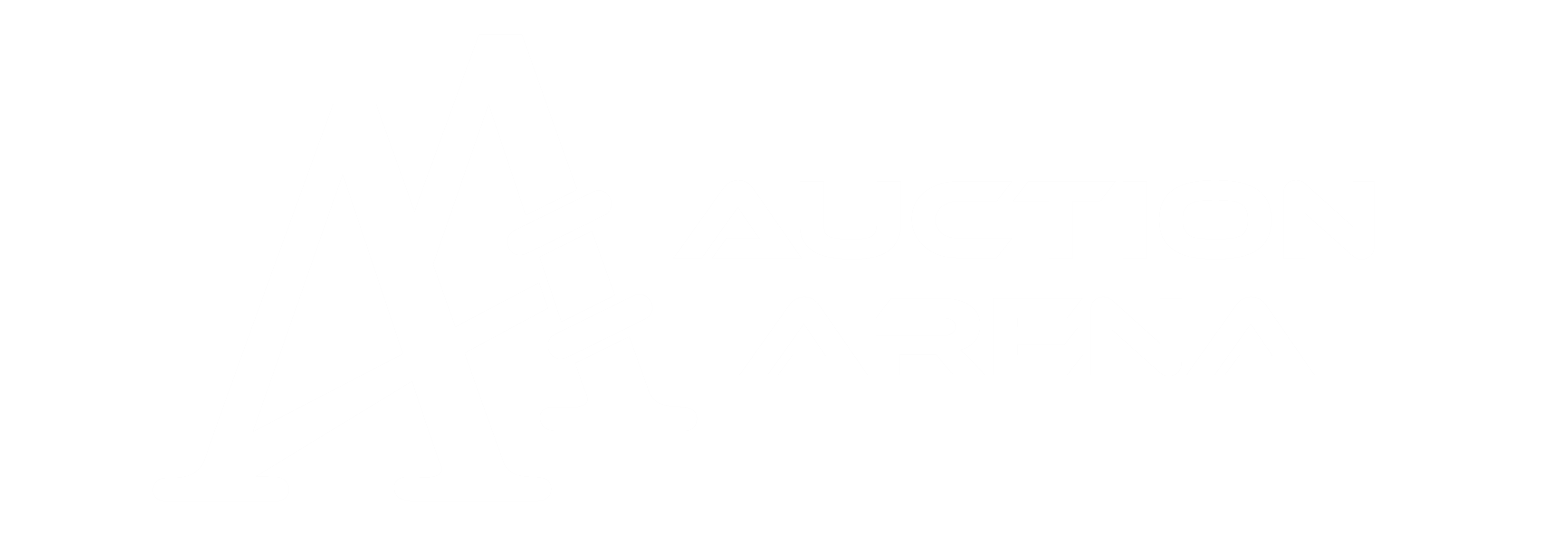 Auction Arena