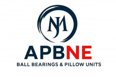APBNE