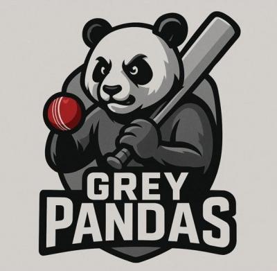 Grey Pandas