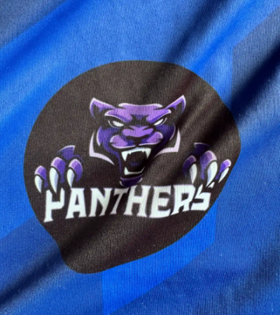 Eternia Panthers