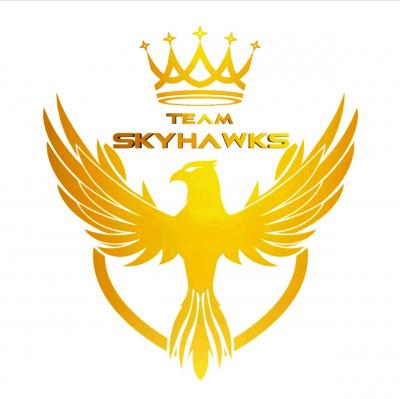 Team Skyhawks