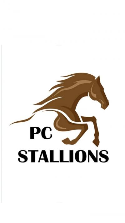 PC Stallions
