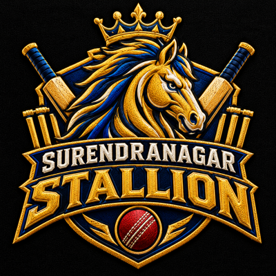 Surendranagar Stallions