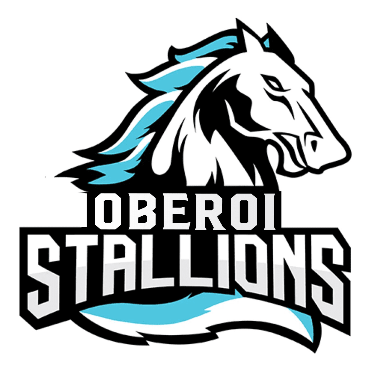 Oberoi Stallions