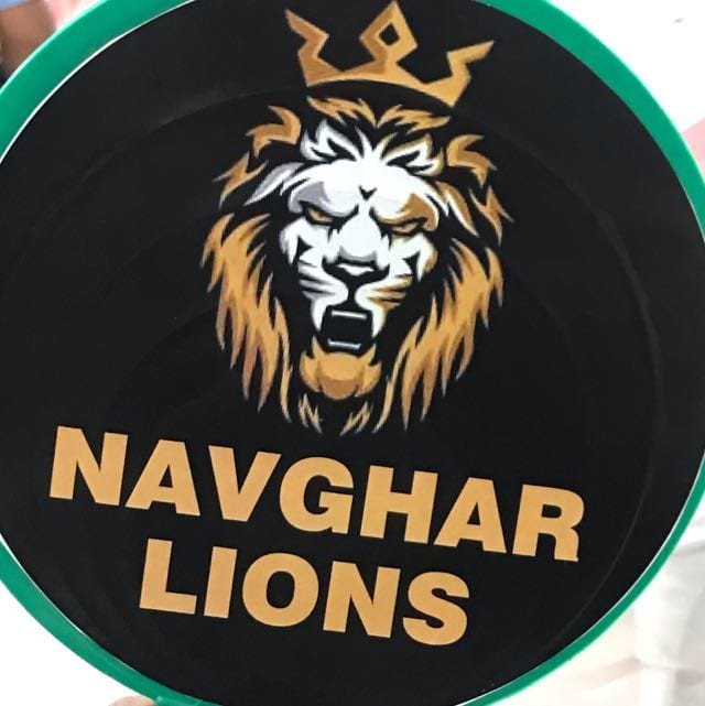 NAVGHAR LIONS
