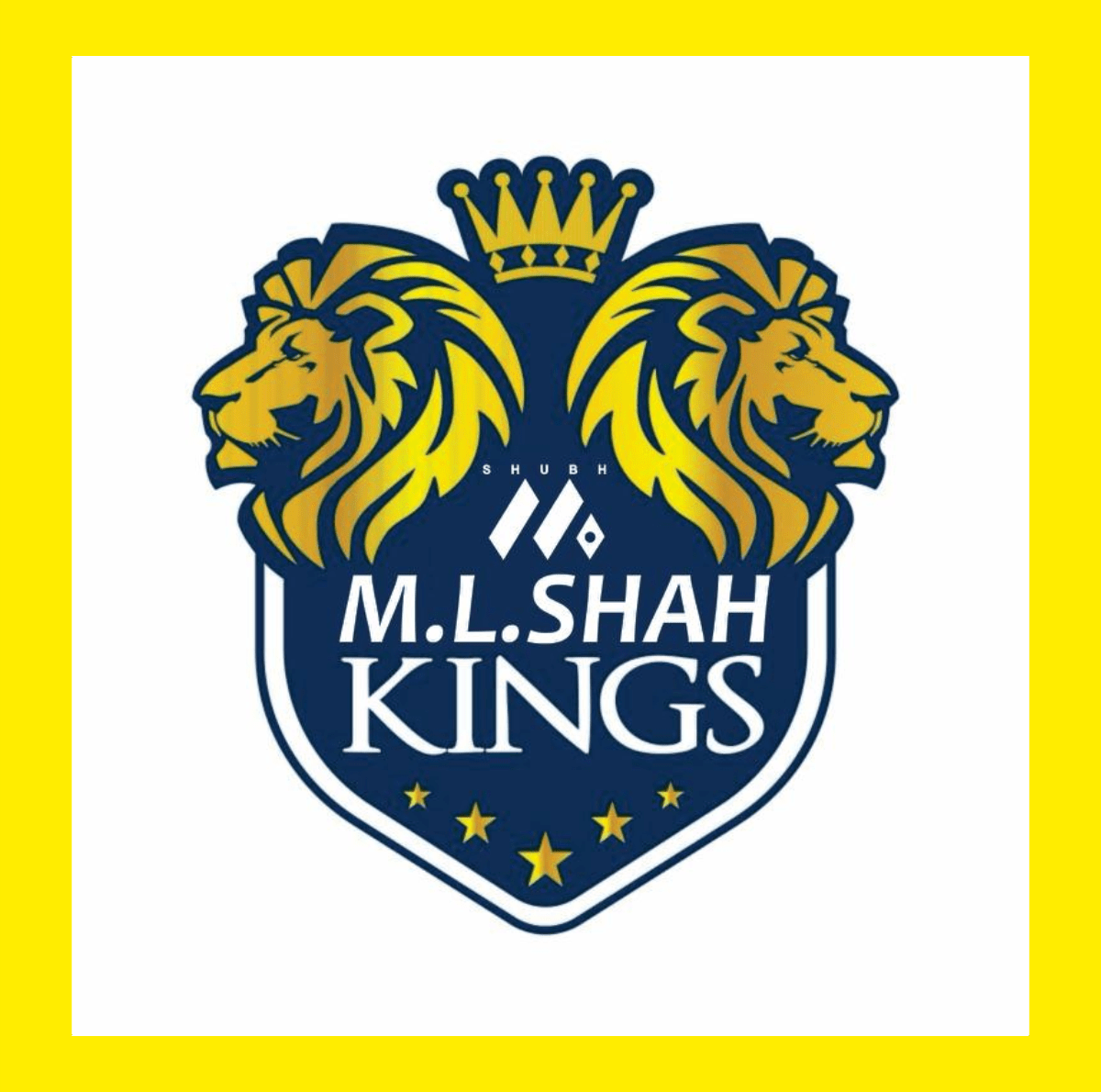 M L Shah Kingz