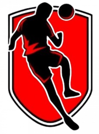 Cricket auction live bidding platform