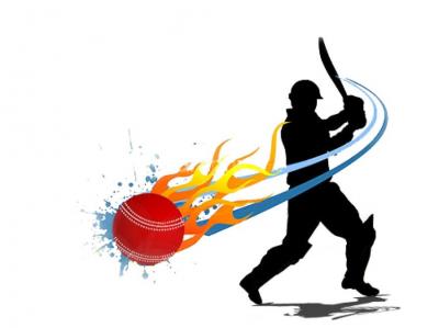 Cricket auction live bidding platform